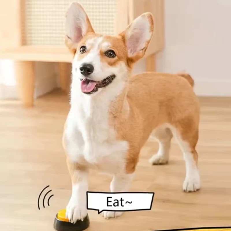 Recordable Pet Speaking Buttons – Teach Your Dog to Talk